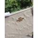Coach Women's Bags