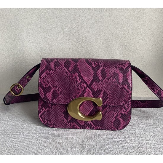 Coach Women's Bags