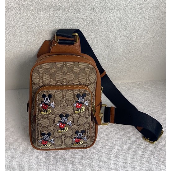 Coach Women's Bags