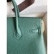 Hermes Birkin 25cm Best Quality

