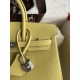 Hermes Birkin 25cm Best Quality
