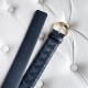 BV Belts