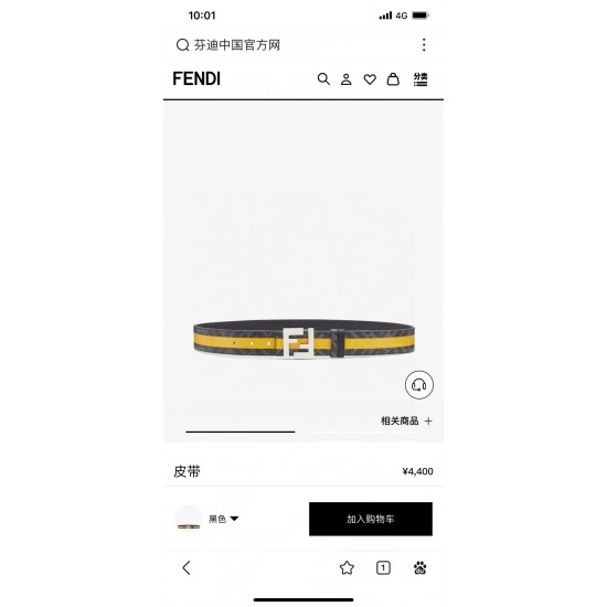 Fendi Belts