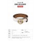 Coach Belts