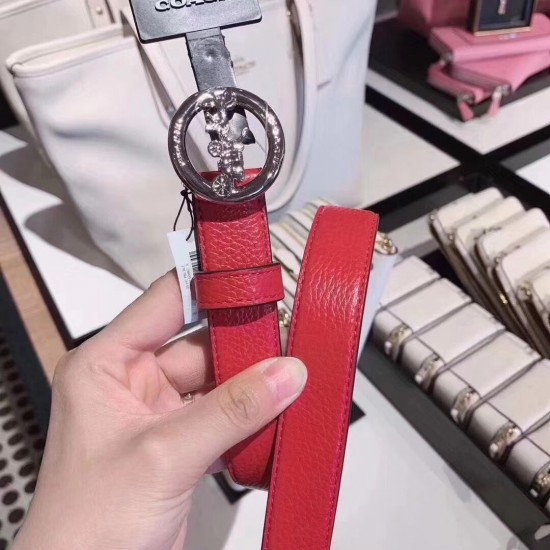 Coach Belts