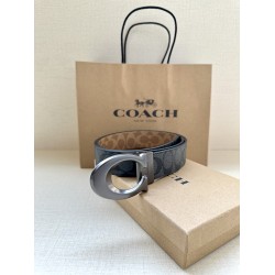 Coach Belts