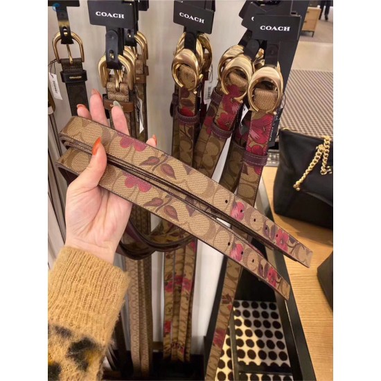 Coach Belts