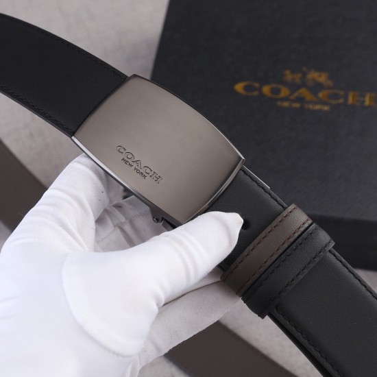 Coach Belts