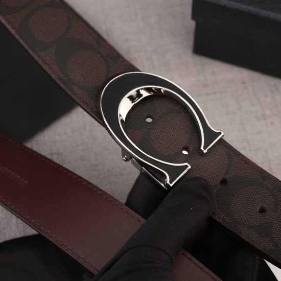 Coach Belts