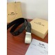 Coach Belts