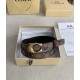 Coach Belts