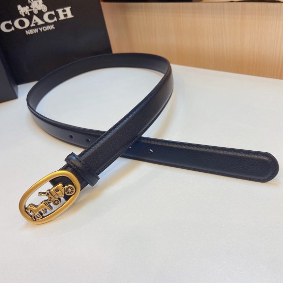 Coach Belts