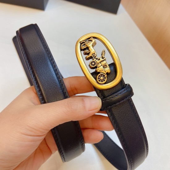 Coach Belts