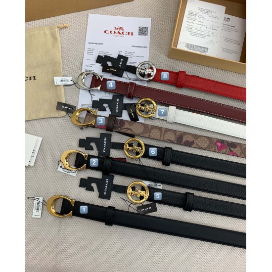 Coach Belts