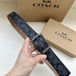 Coach Belts