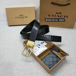 Coach Women's Belts