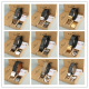Coach Women's Belts