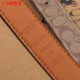 Coach Women's Belts