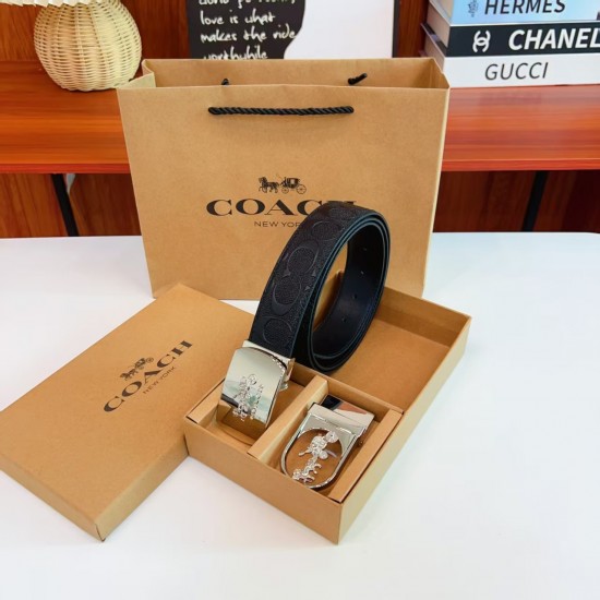 Coach Women's Belts