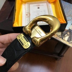 Coach Women's Belts
