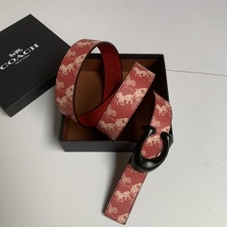 Coach Women's Belts