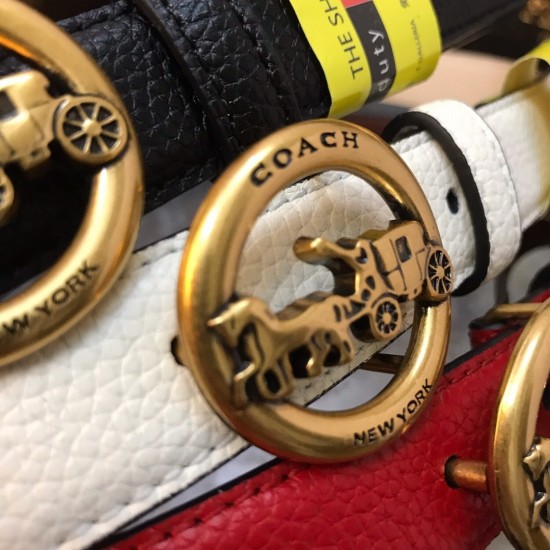 Coach Women's Belts