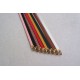 Coach Women's Belts