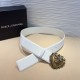 DG Belts