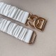 DG Belts