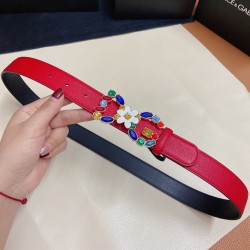 DG Belts
