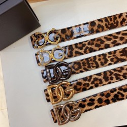 DG Belts