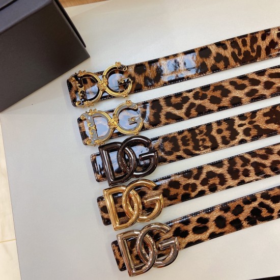 DG Belts
