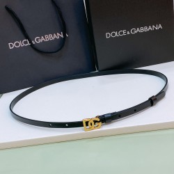 DG Belts