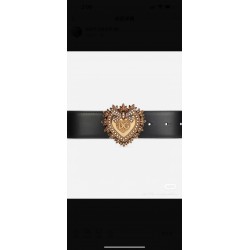 DG Belts
