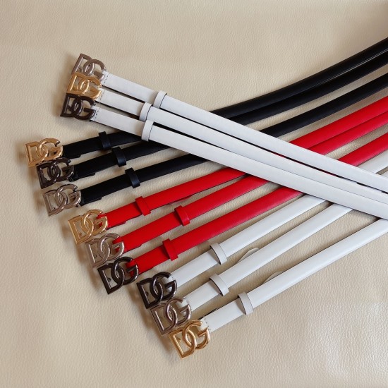 DG Belts