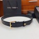 DG Belts