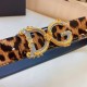 DG Belts
