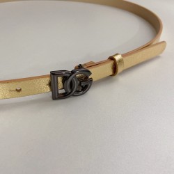DG Belts