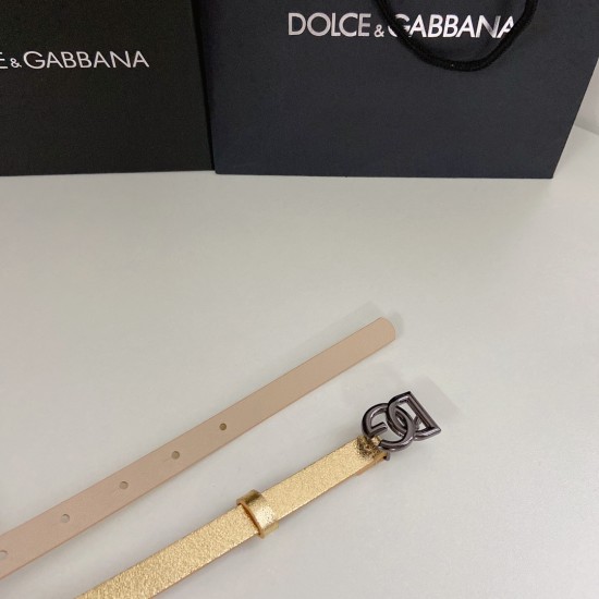 DG Belts