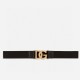 DG Belts