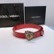 DG Belts