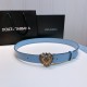 DG Belts