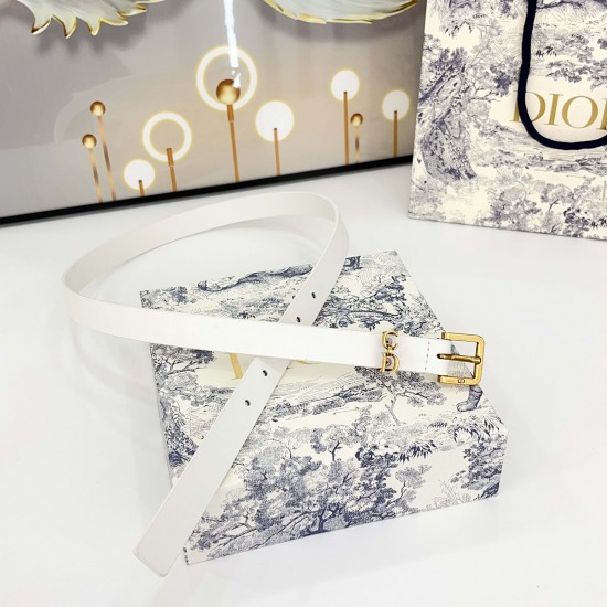 Dior Belts