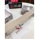 Dior Men's Belts