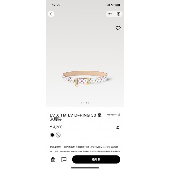 LV Belts