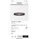 Loewe Women's Belts