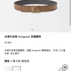 Loewe Women's Belts