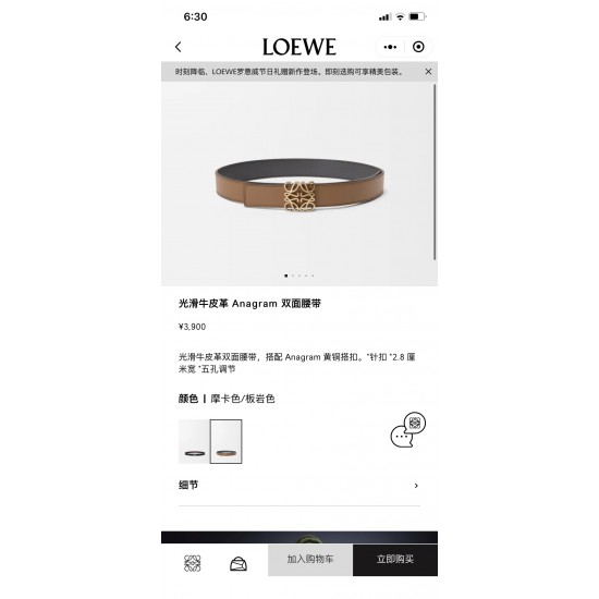 Loewe Women's Belts