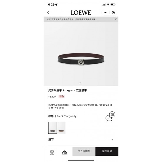 Loewe Women's Belts