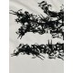 Arcteryx Clothing